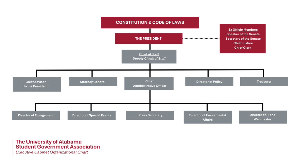 Organizational chart of the UA SGA Executive Cabinet
